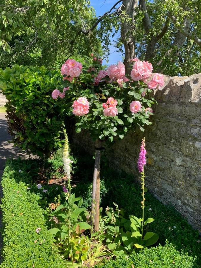 Parsnips House Bnb Glastonbury Dış mekan fotoğraf